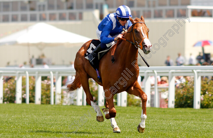 Ehraz-0005 
 EHRAZ (Jim Crowley) wins The Anders Foundation British EBF Crocker Bulteel Maiden Stakes
Ascot 23 Jul 2021 - Pic Steven Cargill / Racingfotos.com