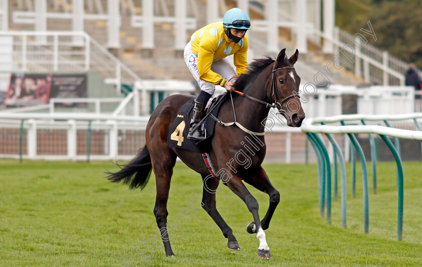 Mrs-Fitzherbert-0001 
 MRS FITZHERBERT (P J McDonald)
Nottingham 14 Oct 2020 - Pic Steven Cargill / Racingfotos.com