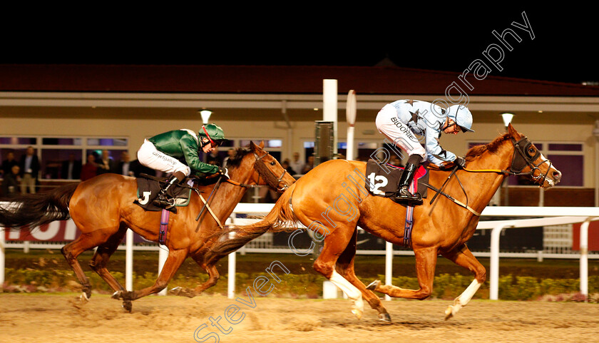 Mercury-0006 
 MERCURY (Martin Harley) wins The Go Homes Land Handicap Chelmsford 7 Dec 2017 - Pic Steven Cargill / Racingfotos.com