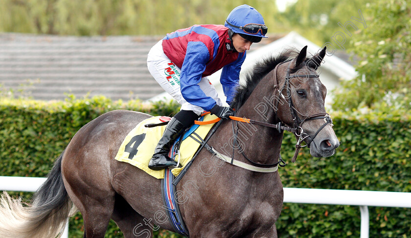 Confab-0001 
 CONFAB (Nicola Currie)
Kempton 5 Jun 2019 - Pic Steven Cargill / Racingfotos.com