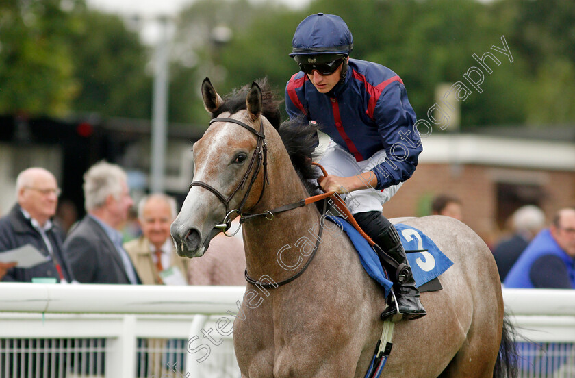 Lyrical-Lady-0001 
 LYRICAL LADY (Tom Marquand)
Salisbury 12 Aug 2021 - Pic Steven Cargill / Racingfotos.com