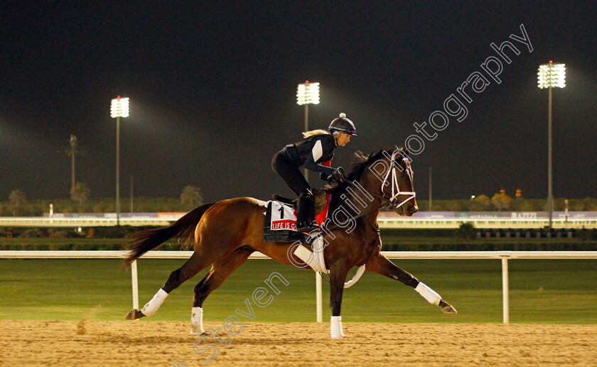 Life-Is-Good-0002 
 LIFE IS GOOD training for the Dubai World Cup
Meydan, Dubai, 23 Mar 2022 - Pic Steven Cargill / Racingfotos.com