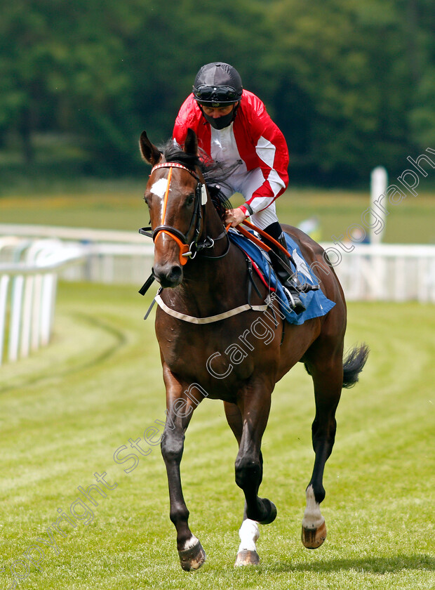 Brazen-Best-0001 
 BRAZEN BEST (Tony Hamilton)
York 11 Jun 2021 - Pic Steven Cargill / Racingfotos.com