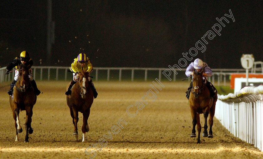 Berlusca-0002 
 BERLUSCA (right, Mark Crehan) beats RUBENSIAN (centre) and LUNAR DEITY (left) in The Betway Apprentice Handicap
Wolverhampton 10 Dec 2018 - Pic Steven Cargill / Racingfotos.com