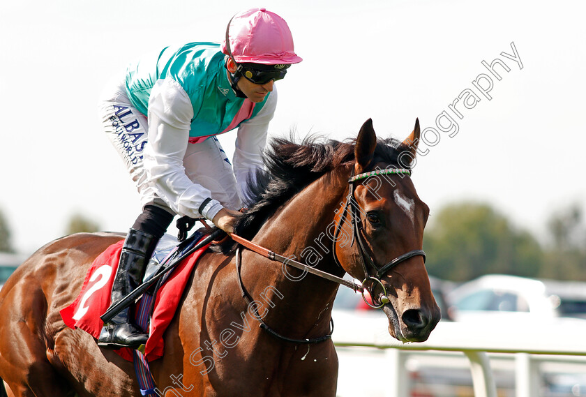 Breath-Caught-0002 
 BREATH CAUGHT (Pat Dobbs) Sandown 1 Sep 2017 - Pic Steven Cargill / Racingfotos.com