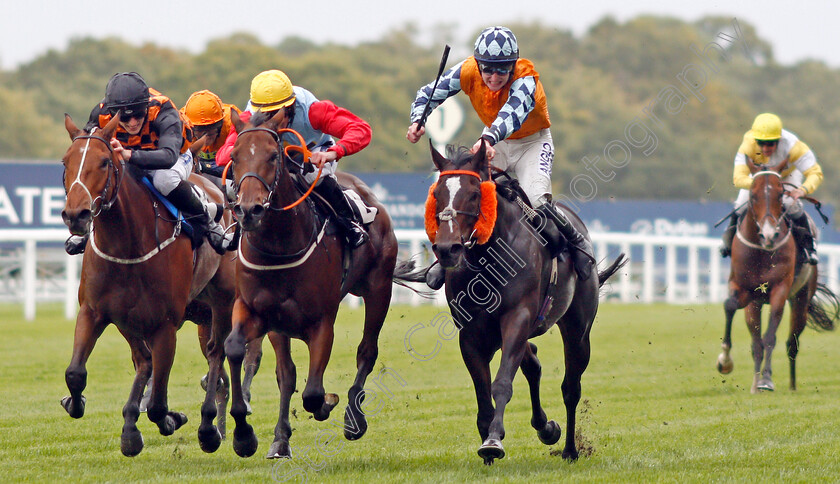 King s-Pavilion-0001 
 KING'S PAVILION (centre, Eireann Cagney) beats HAWRIDGE STORM (left) and CLIFFS OF CAPRI (right) in The Amateur Jockeys Association Handicap
Ascot 4 Oct 2019 - Pic Steven Cargill / Racingfotos.com