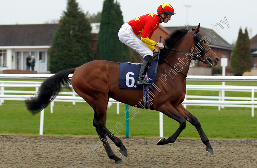 Originaire-0001 
 ORIGINAIRE (James Doyle)
Lingfield 20 Nov 2018 - Pic Steven Cargill / Racingfotos.com