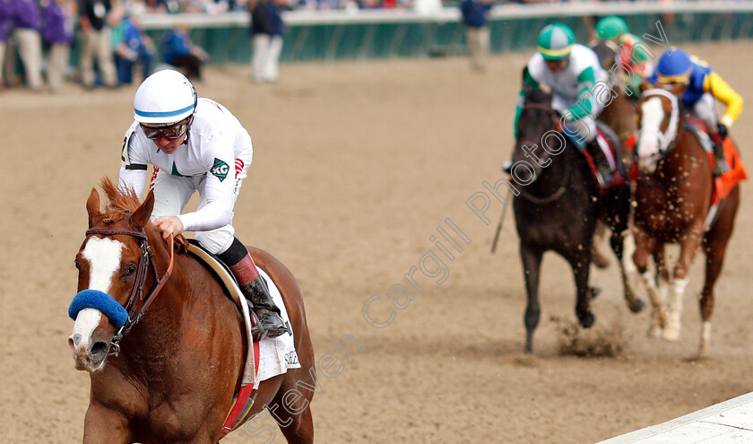 Improbable-0002 
 IMPROBABLE (Drayden Van Dyke) wins The Street Sense Stakes
Churchill Downs 2 Nov 2018 - Pic Steven Cargill / Racingfotos.com