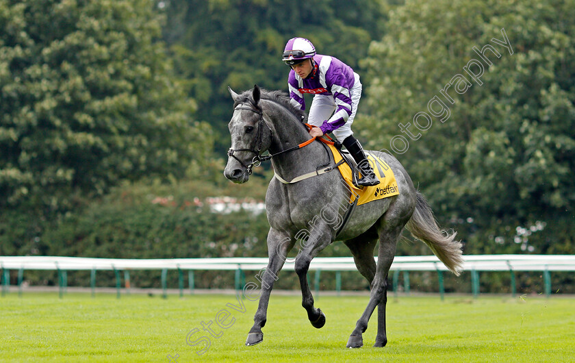 Contact-0001 
 CONTACT (Ray Dawson)
Haydock 4 Sep 2021 - Pic Steven Cargill / Racingfotos.com