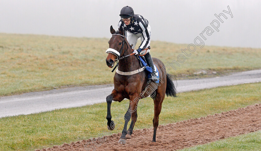 Art-Of-Diplomacy-0001 
 ART OF DIPLOMACY (Harry Bannister)
Chepstow 27 Dec 2019 - Pic Steven Cargill / Racingfotos.com