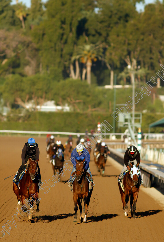 Santa-Anita-0002 
 training at the Breeders' Cup
Santa Anita 2 Nov 2023 - Pic Steven Cargill / Racingfotos.com