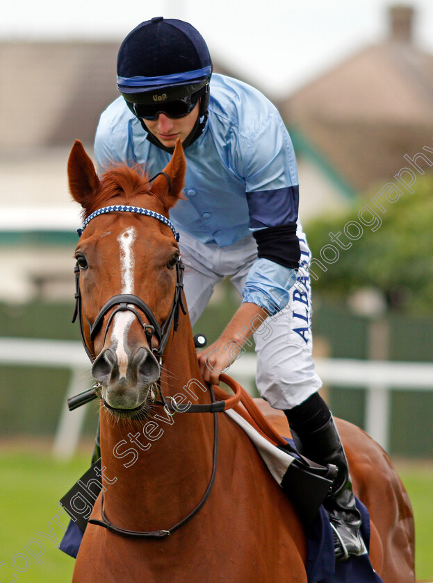 Nicklaus-0003 
 NICKLAUS (Tom Marquand) before winning The attheraces.com Handicap
Yarmouth 16 Sep 2020 - Pic Steven Cargill / Racingfotos.com