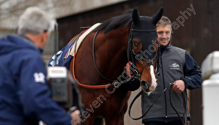 Toast-Of-New-York-0001 
 TOAST OF NEW YORK returns to the track with Jimmy McCarthy before winning The Betway Conditions Stakes Lingfield 6 Dec 2017 - Pic Steven Cargill / Racingfotos.com