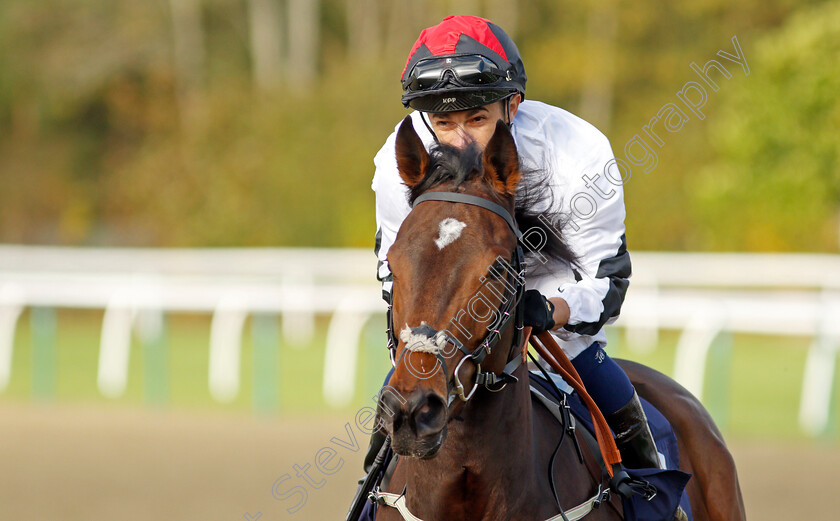 Golden-Mayflower-0001 
 GOLDEN MAYFLOWER (Silvestre De Sousa) winner of The Coral EBF Fillies Restricted Novice Stakes
Lingfield 28 Oct 2021 - Pic Steven Cargill / Racingfotos.com