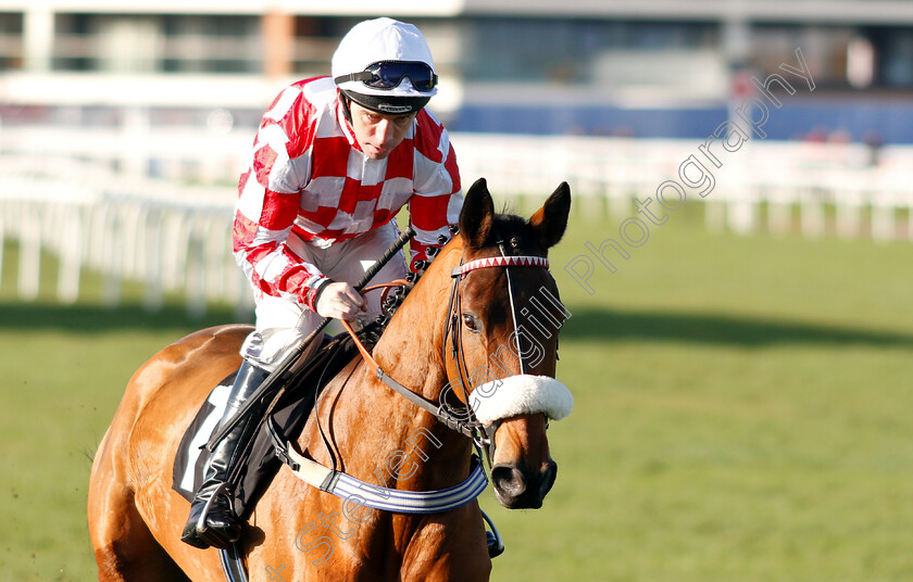 Sevarano-0001 
 SEVARANO (Leighton Aspell)
Newbury 30 Nov 2018 - Pic Steven Cargill / Racingfotos.com