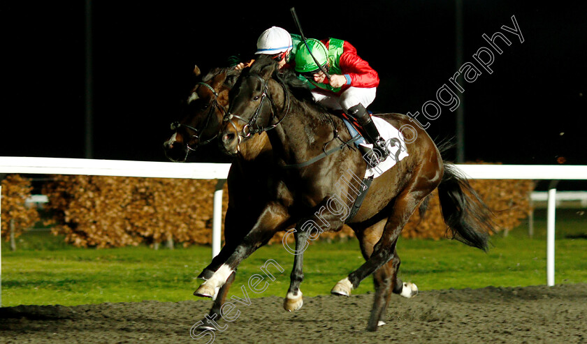 Holy-Heart-0002 
 HOLY HEART (Robert Havlin) wins The 100% Profit Boost At 32redsport.com Novice Stakes
Kempton 12 Dec 2018 - Pic Steven Cargill / Racingfotos.com