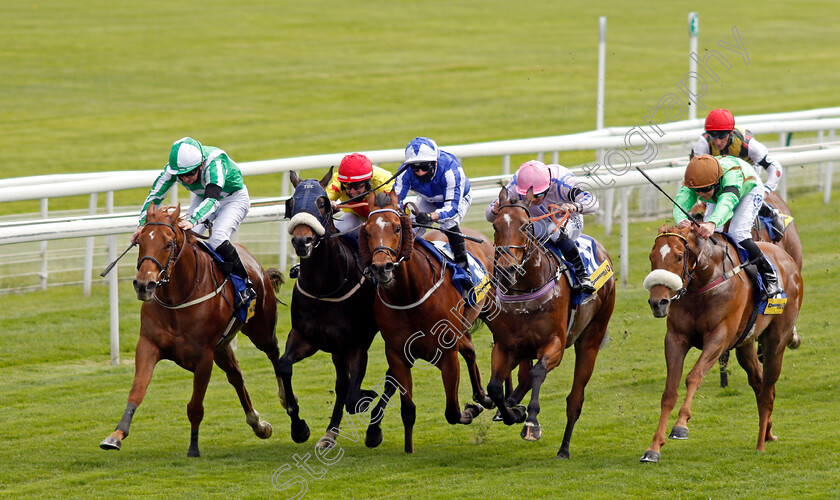 Mr-Lupton-0001 
 MR LUPTON (left, Paul Hanagan) beats DANZAN (2nd left) BIELSA (centre) ZARGUN (2nd right) and WOVEN (right) in The Churchill Tyres Handicap
York 12 May 2021 - Pic Steven Cargill / Racingfotos.com