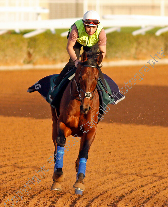 Mishriff-0004 
 MISHRIFF training for The Saudi Cup
King Abdulaziz Racetrack, Riyadh, Saudi Arabia 23 Feb 2022 - Pic Steven Cargill / Racingfotos.com