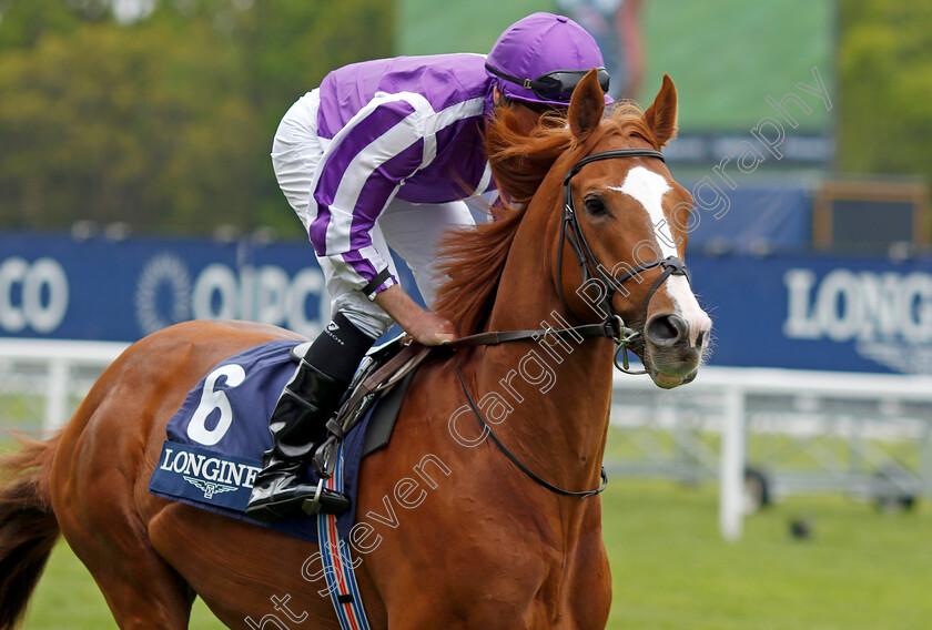 Wordsworth 
 WORDSWORTH (Ryan Moore)
Ascot 27 Apr 2022 - Pic Steven Cargill / Racingfotos.com