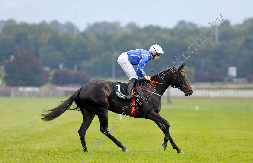 Alanya-0001 
 ALANYA (Gavin Ryan)
The Curragh 10 Sep 2023 - Pic Steven Cargill / Racingfotos.com