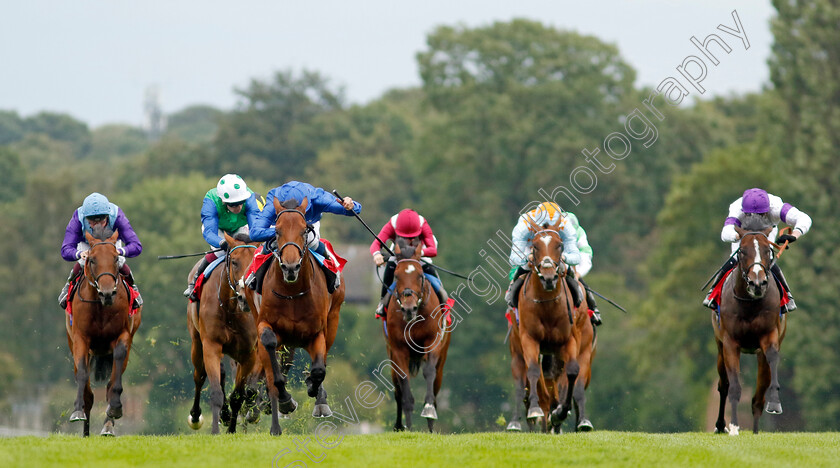 Arabian-Crown-0006 
 ARABIAN CROWN (blue, William Buick) beats NAVY JACK (right) in The Martin Densham Memorial British EBF Maiden Stakes
Sandown 27 Jul 2023 - Pic Steven Cargill / Racingfotos.com