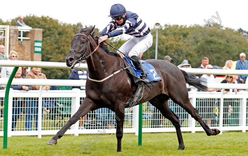 Thechildren strust-0005 
 THECHILDREN'STRUST (Rhys Clutterbuck) wins The Shadwell Racing Excellence Apprentice Handicap
Salisbury 5 Sep 2019 - Pic Steven Cargill / Racingfotos.com