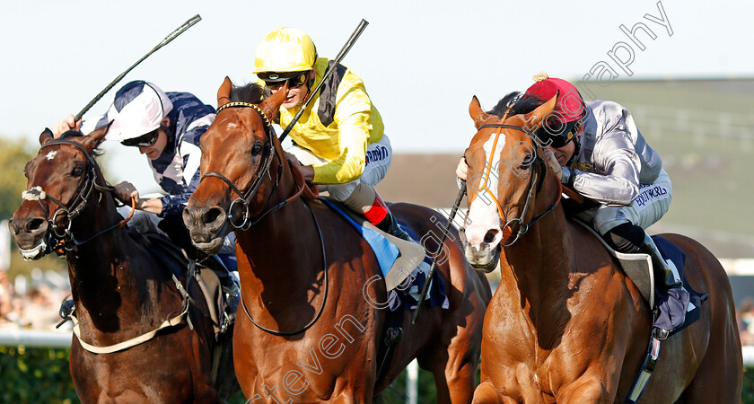 Qaysar-0004 
 QAYSAR (right, Pat Dobbs) beats BAYROOT (centre) and BALTIC BARON (left) in The P J Towey Construction Ltd Handicap
Doncaster 14 Sep 2019 - Pic Steven Cargill / Racingfotos.com