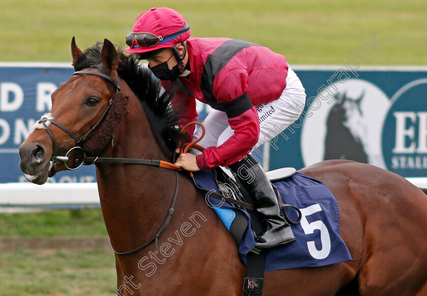 King-Ragnar-0001 
 KING RAGNAR (Ray Dawson)
Yarmouth 16 Sep 2020 - Pic Steven Cargill / Racingfotos.com