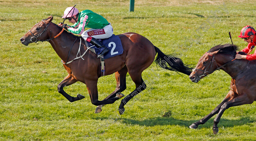 Gobi-Sunset-0005 
 GOBI SUNSET (Oisin Murphy) wins The Ken Lindsay Memorial Nursery
Yarmouth 19 Sep 2019 - Pic Steven Cargill / Racingfotos.com