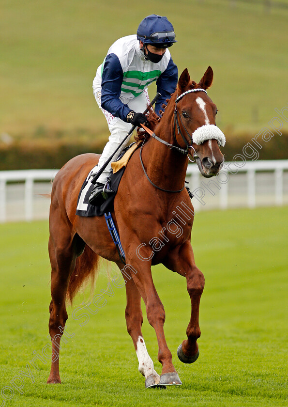 Juan-De-Montalban-0002 
 JUAN DE MONTALBAN (Oisin Murphy)
Goodwood 23 Sep 2020 - Pic Steven Cargill / Racingfotos.com