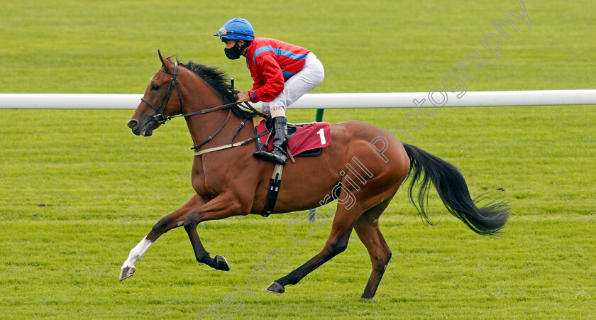 Camerily-Joe-0001 
 CAMERILY JOE (Royston Ffrench)
Haydock 3 Sep 2020 - Pic Steven Cargill / Racingfotos.com