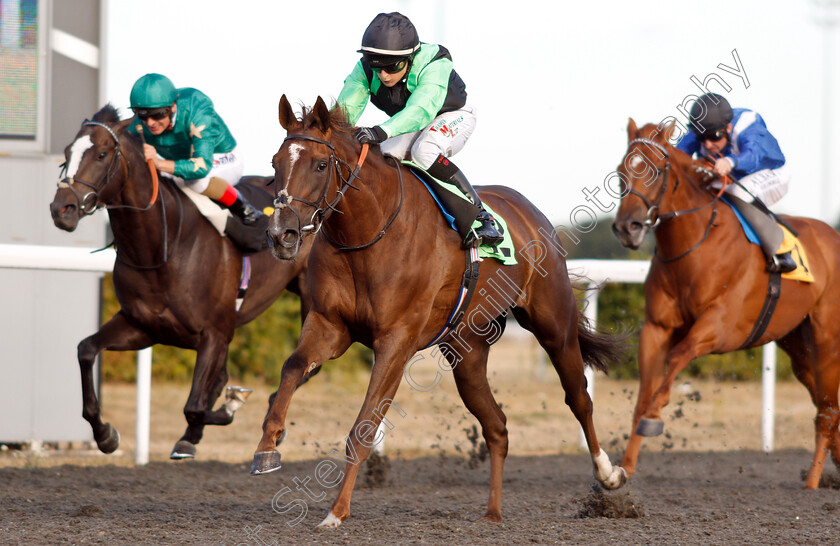 Progressive-Dawn-0004 
 PROGRESSIVE DAWN (Nicola Currie) wins The 32Red On The App Store Novice Stakes Div2
Kempton 8 Aug 2018 - Pic Steven Cargill / Racingfotos.com