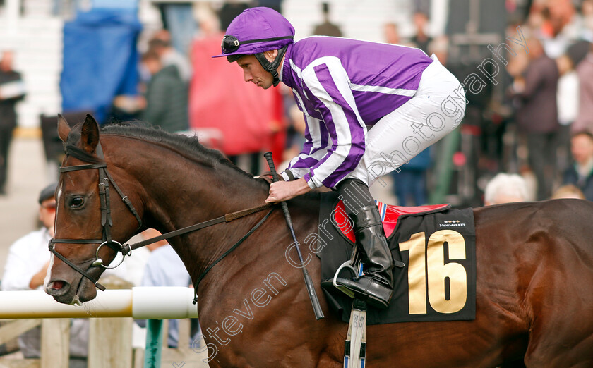 Ortelius-0002 
 ORTELIUS (Ryan Moore)
Newmarket 28 Sep 2023 - Pic Steven Cargill / Racingfotos.com