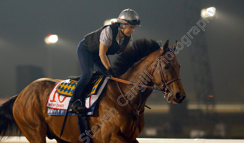 West-Coast-0004 
 WEST COAST exercising in preparation for the Dubai World Cup Meydan 29 Mar 2018 - Pic Steven Cargill / Racingfotos.com