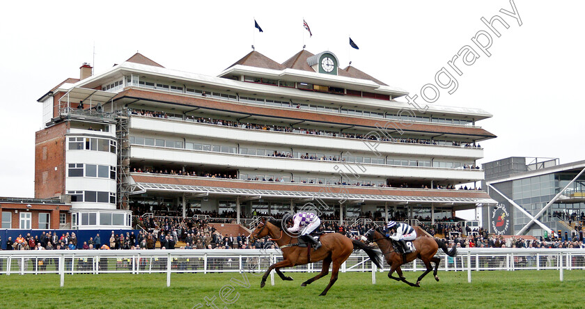 Notachance-0001 
 NOTACHANCE (Wayne Hutchinson) wins The Irwin Mitchell Private Wealth Handicap Hurdle Div1
Newbury 22 Mar 2019 - Pic Steven Cargill / Racingfotos.com