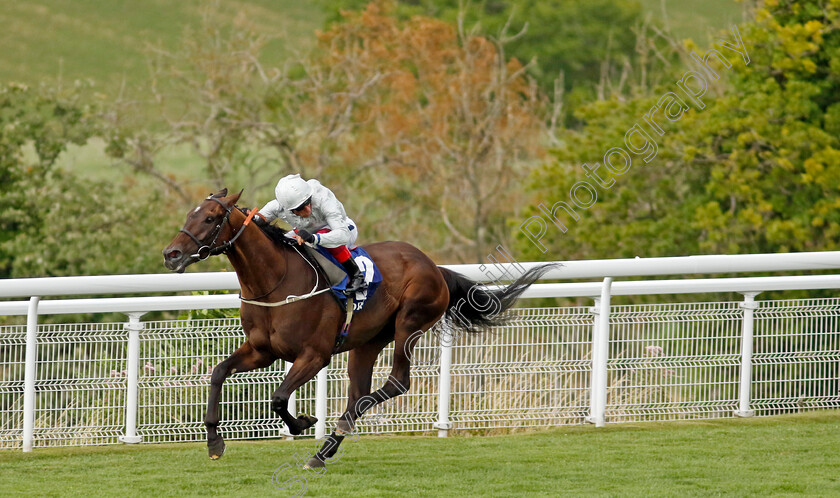 Forest-Falcon-0004 
 FOREST FALCON (Frankie Dettori) wins The Coral Chesterfield Cup Handicap
Goodwood 26 Jul 2022 - Pic Steven Cargill / Racingfotos.com