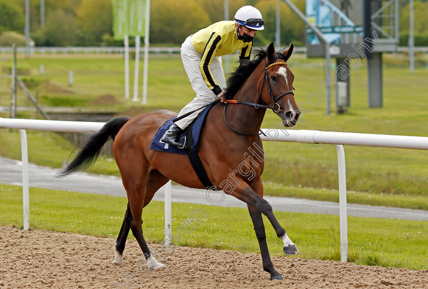 She-Do-0001 
 SHE DO (Callum Shepherd)
Wolverhampton 24 May 2021 - Pic Steven Cargill / Racingfotos.com