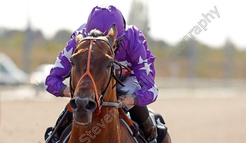 Oh-This-Is-Us-0006 
 OH THIS IS US (Ryan Moore) wins The CCR Handicap
Chelmsford 20 Sep 2020 - Pic Steven Cargill / Racingfotos.com