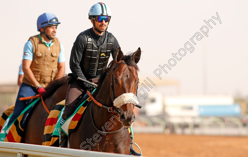 Gronkowski-0001 
 GRONKOWSKI preparing for The Saudi Cup
Riyadh Racetrack, Kingdom Of Saudi Arabia, 27 Feb 2020 - Pic Steven Cargill / Racingfotos.com