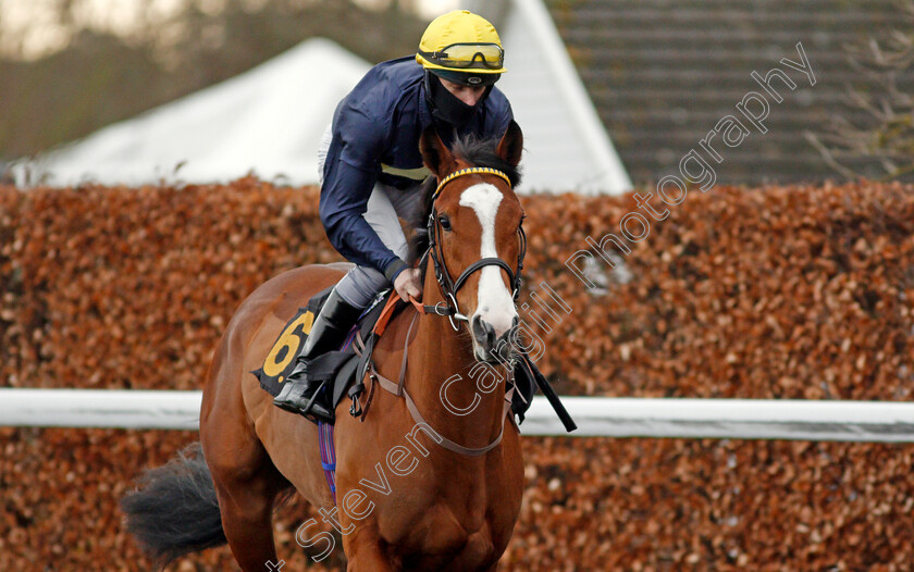 Elvic-0001 
 ELVIC (Richard Kingscote) 
Kempton 16 Feb 2021 - Pic Steven Cargill / Racingfotos.com