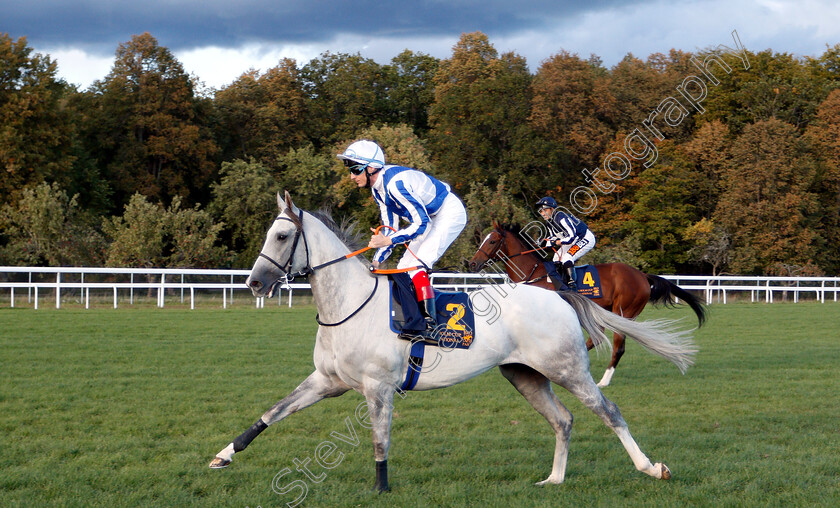 Thundering-Blue-0001 
 THUNDERING BLUE (Fran Berry) before winning The Stockholm Cup International
Bro Park, Sweden 23 Sep 2018 - Pic Steven Cargill / Racingfotos.com