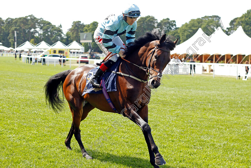 Zechariah 
 ZECHARIAH (Colin Keane)
Royal Ascot 15 Jun 2022 - Pic Steven Cargill / Racingfotos.com