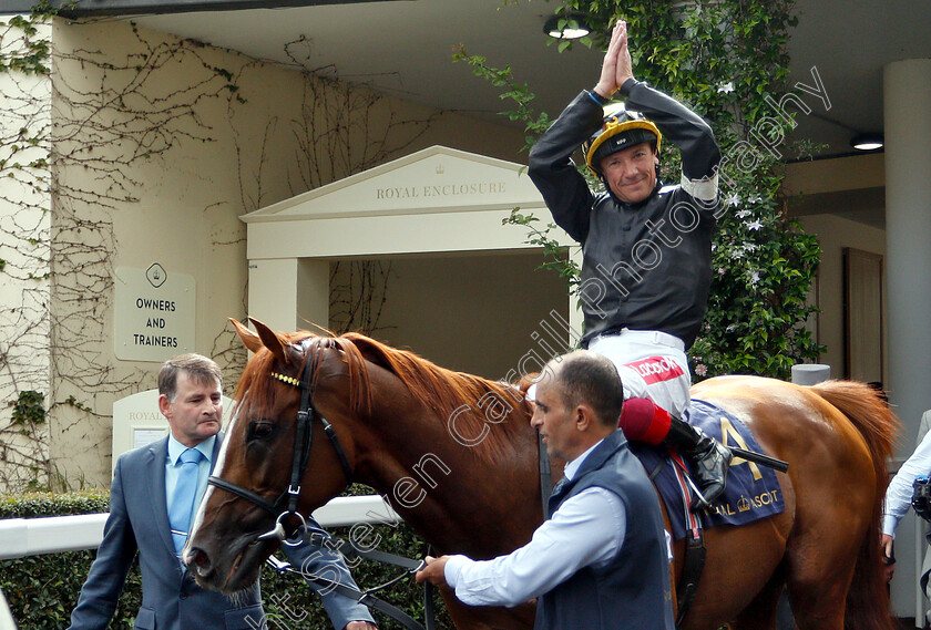 Stradivarius-0018 
 STRADIVARIUS (Frankie Dettori) after The Gold Cup
Royal Ascot 20 Jun 2019 - Pic Steven Cargill / Racingfotos.com