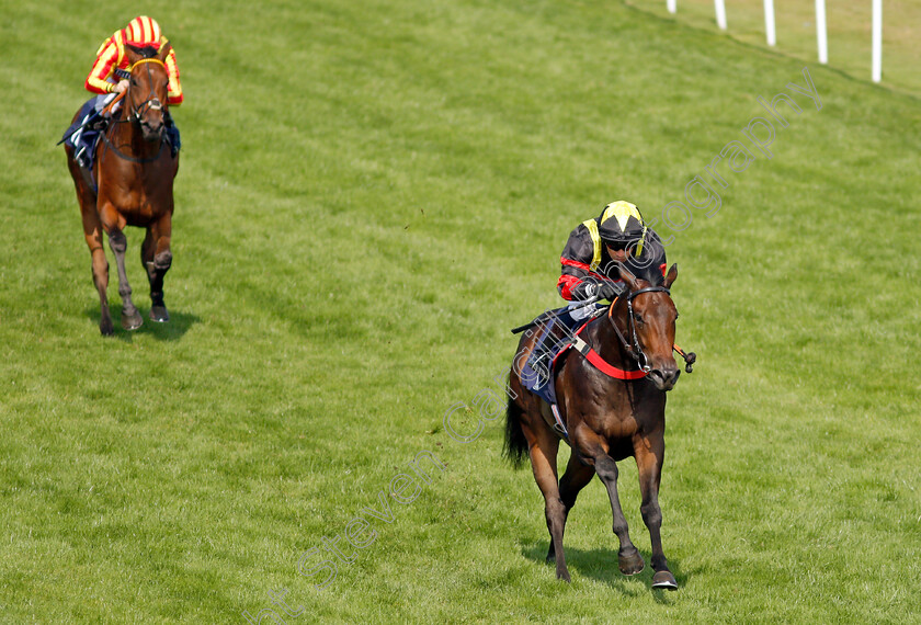 Global-Wisdom-0005 
 GLOBAL WISDOM (Silvestre De Sousa) wins The Free Tips On attheraces.com Nursery
Yarmouth 16 Sep 2021 - Pic Steven Cargill / Racingfotos.com