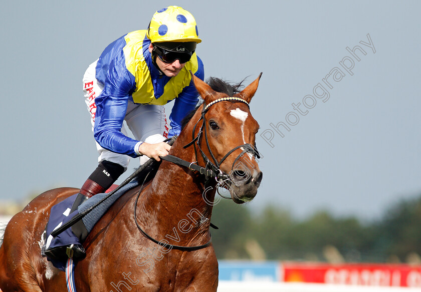 Mighty-Ulysses-0008 
 MIGHTY ULYSEES (Robert Havlin) wins The British Stallion Studs EBF Maiden Stakes
Yarmouth 16 Sep 2021 - Pic Steven Cargill / Racingfotos.com