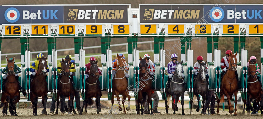 Raintown-0004 
 winner RAINTOWN (stall 3, David Probert) breaks with the field for The Boost Your Acca-Fenwa With Betuk Handicap
Lingfield 20 Jan 2024 - Pic Steven Cargill / Racingfotos.com