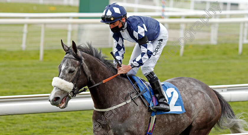 Queen-Jo-Jo-0001 
 QUEEN JO JO (Kieran Shoemark)
York 12 May 2021 - Pic Steven Cargill / Racingfotos.com