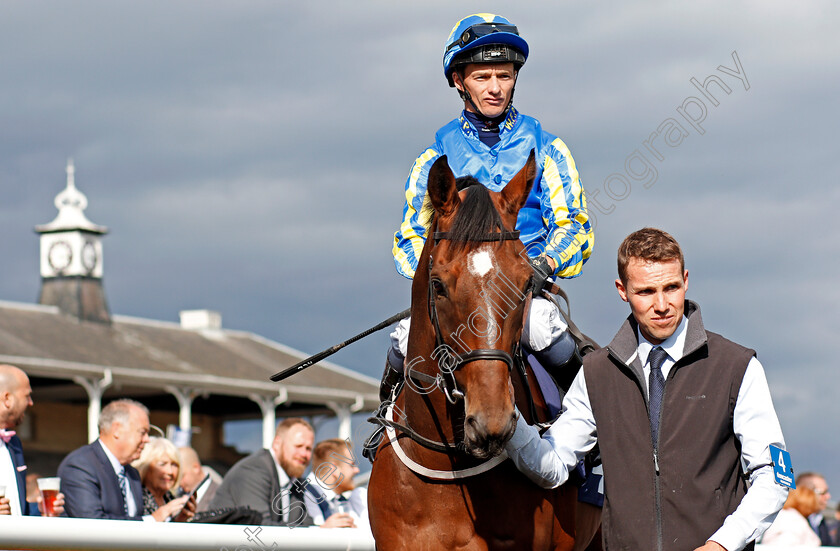 High-Jinx-0001 
 HIGH JINX (David Allan) Doncaster 15 Sep 2017 - Pic Steven Cargill / Racingfotos.com