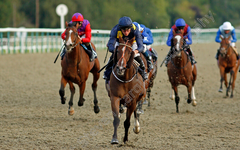 Red-Missile-0003 
 RED MISSILE (Tom Marquand) wins The Betway Casino Maiden Stakes
Lingfield 5 Aug 2020 - Pic Steven Cargill / Racingfotos.com