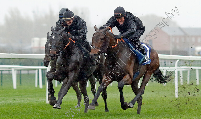 Champ-and-Shishkin-0004 
 CHAMP (right, A P McCoy) and SHISHKIN (left, Nico de Boinville) at Coral Gold Cup Weekend Gallops Morning
Newbury 15 Nov 2022 - Pic Steven Cargill / Racingfotos.com